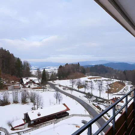 Apartman In With Sauna & Swimming Pool Freyung