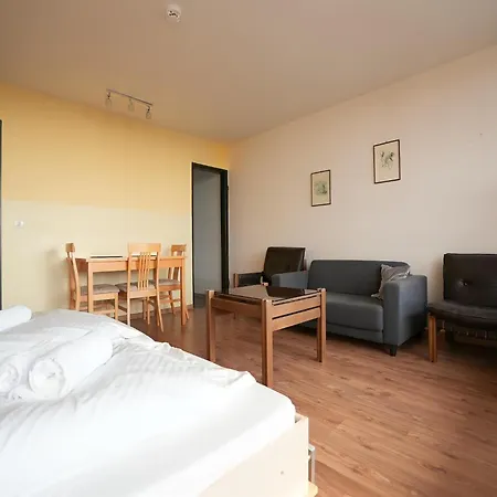 Apartman In With Sauna & Swimming Pool Freyung