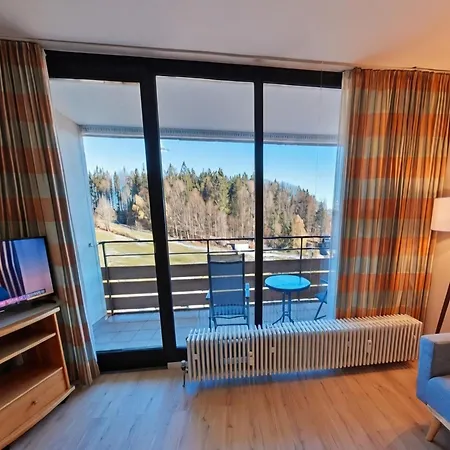 Apartman In With Sauna & Swimming Pool Freyung