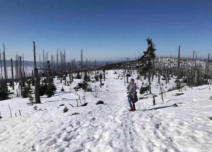 Inviting In With Sauna & Indoor Pool *